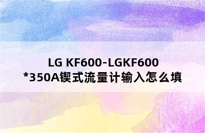 LG KF600-LGKF600*350A锲式流量计输入怎么填